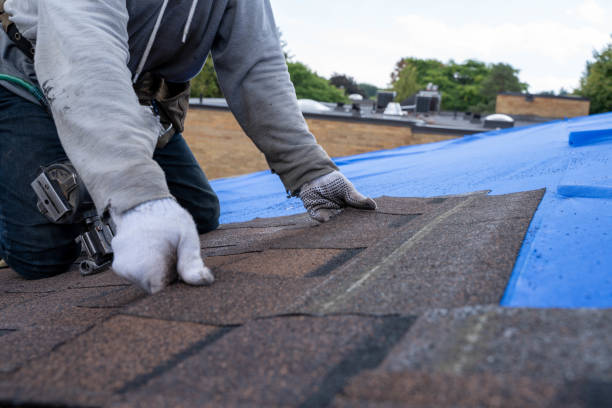 Best Roof Replacement Cost  in Paonia, CO